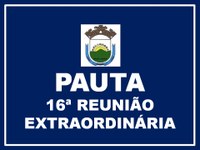 *16ª REUNIÃO EXTRAORDINÁRIA DA 1ª SESSÃO LEGISLATIVA DA 19ª LEGISLATURA*